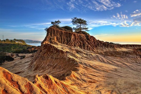 19 Fun Things to do in North County San Diego Area